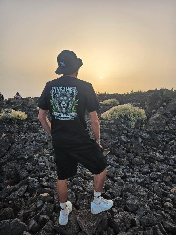 The Collection – urban drift