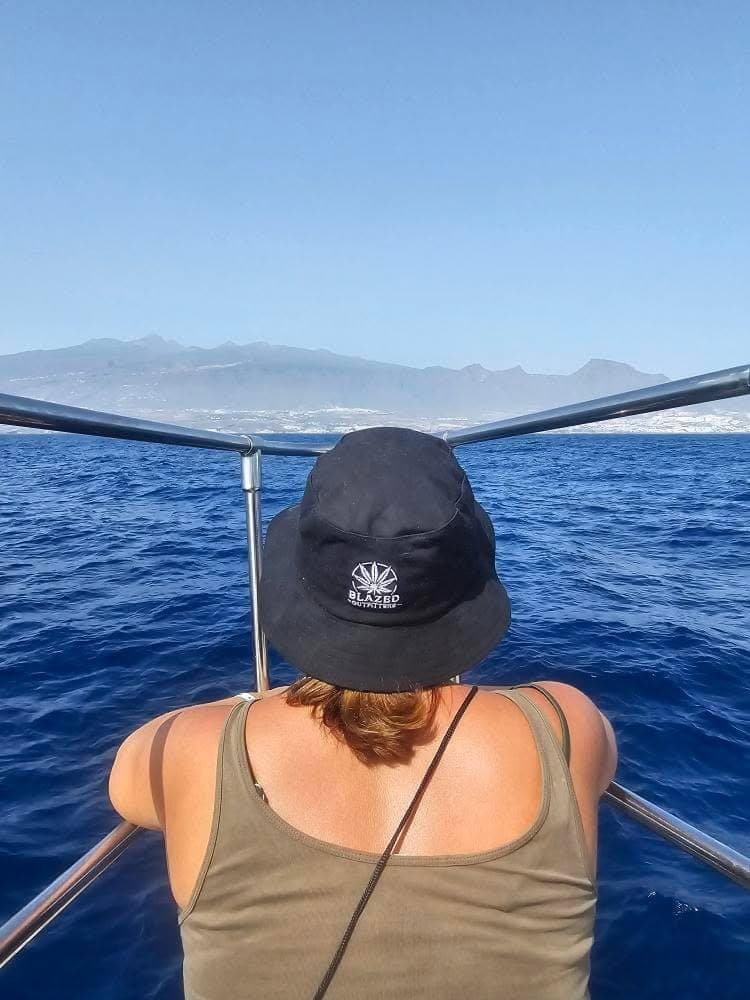 The Collection – night presence